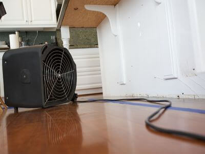 Professional mold removal services in Aurora